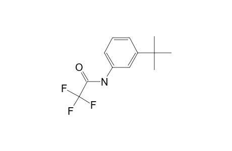 3-(Tert-butyl)aniline, N-trifluoroacetyl-