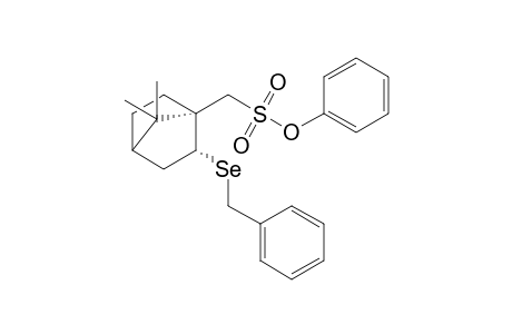 (7,7-Dimethyl-2-exo-benzylselenylbicyclo[2.2.1]hept-1-yl)methane sulfonic acid phenyl ester