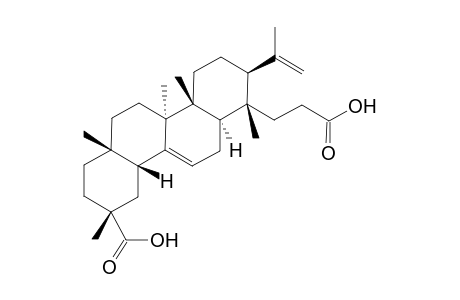 3,4-Seco-4(23),12-oleandiene-3,29-dioic acid