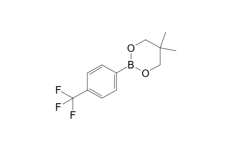 5,5-Dimethyl-2-(4-(trifluoromethyl)phenyl)-1,3,2-dioxaborinane