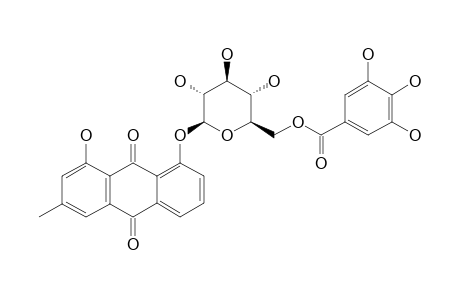 CHRYSOPHANOL-8-O-BETA-D-(6'-GALLOYL)-GLUCOPYRANOSIDE