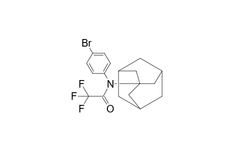 Bromantane TFA