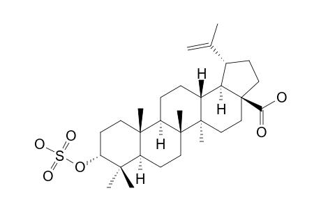 3-EPI-BETULINIC-ACID-3-O-SULPHATE