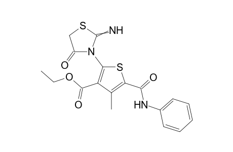 Ethyl 2-(2-imino-4-oxothiazolidin-3-yl)-4-methyl-5-(phenylcarbamoyl)thiophene-3-carboxylate