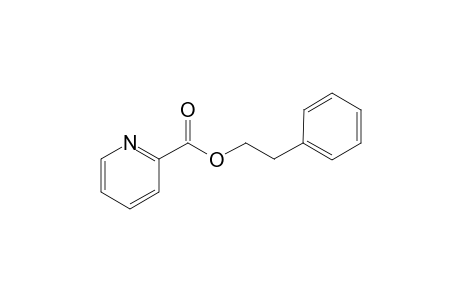 Picolinic acid 2-phenylethyl ester
