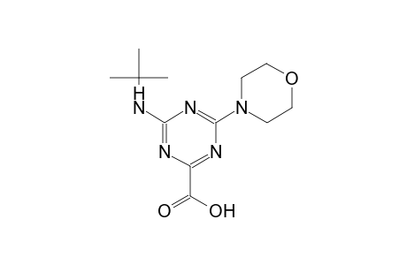 4-(tert-butylamino)-6-(4-morpholinyl)-1,3,5-triazine-2-carboxylic acid