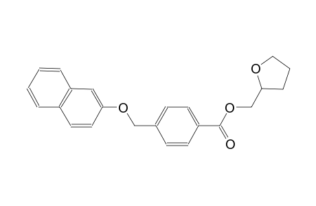 tetrahydro-2-furanylmethyl 4-[(2-naphthyloxy)methyl]benzoate
