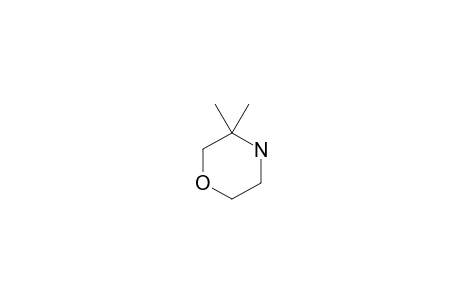3,3-Dimethyl-morpholine