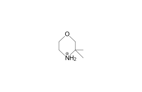 3,3-Dimethyl-morpholine cation