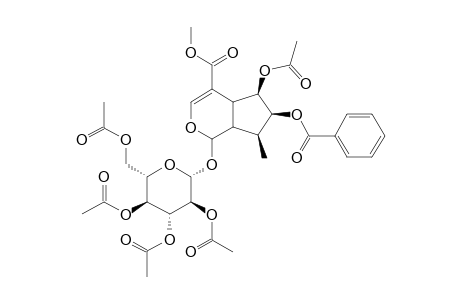 ABORSIDE-C-PENTAACETATE