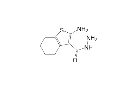 2-amino-4,5,6,7-tetrahydro-1-benzothiophene-3-carbohydrazide