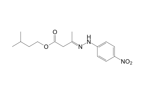 acetoacetic acid, isopentyl ester, p-dinitrophenylhydrazone