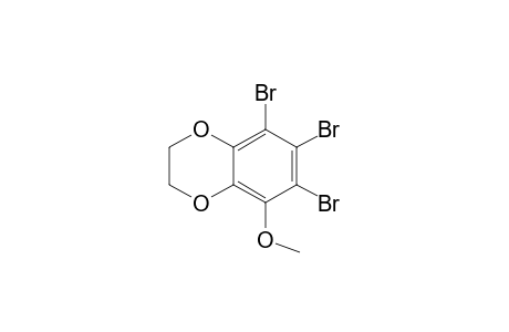 Methyl 6,7,8-tribromo-2,3-dihydro-1,4-benzodioxin-5-yl ether