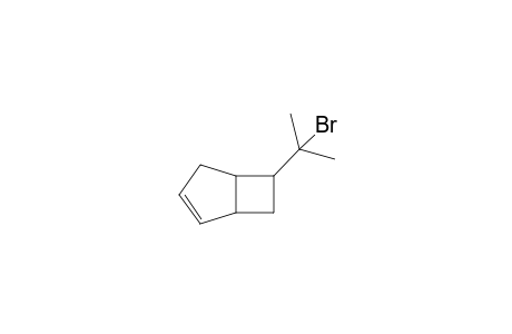 6-(1-bromo-1-methylethyl)bicyclo[3.2.0]hept-2-ene