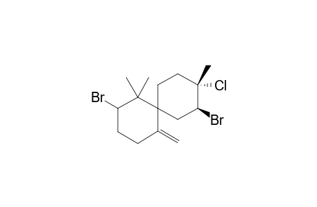 Nidificene