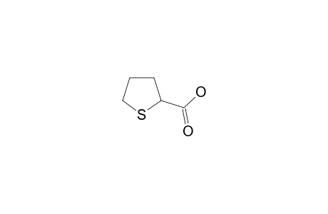 thiolane-2-carboxylic acid