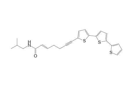 (E)-N-(2-Methylpropyl)-7-(2,2':5,2''-terthien-5-yl)-2-hepten-6-ynamide