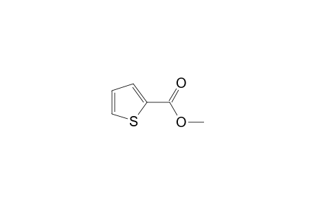 2-Thiophenecarboxylic acid methyl ester