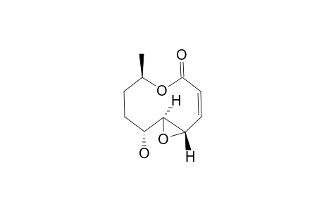 CURVULIDE_A