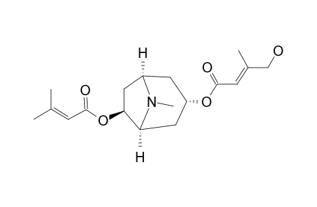 SCHIZANTHINE_O;3-ALPHA-(E)-4-HYDROXYSENECIOYLOXY-TROPANESENECIOYLOXYTROPANE