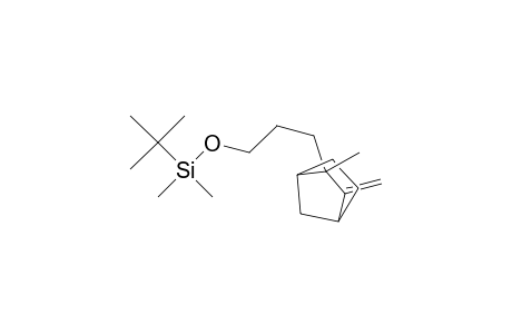 Silane, (1,1-dimethylethyl)dimethyl[3-(2-methyl-3-methylenebicyclo[2.2.1]hept -2-yl)propoxy]-, endo-(.+-.)-