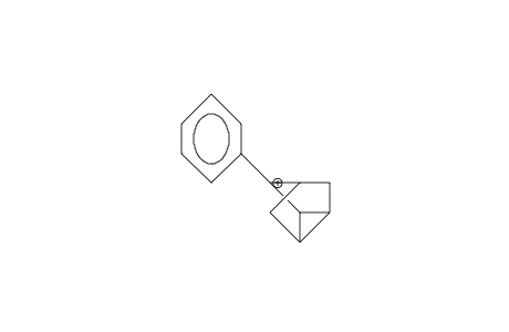 3-Phenyl-3-nortricyclyl cation
