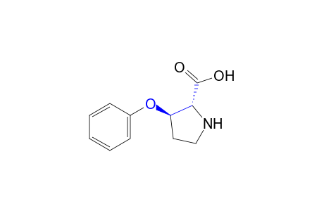 trans-3-PHENOXYPROLINE (RACEMIC)