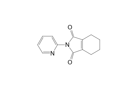 1H-Isoindole-1,3(2H)-dione, 4,5,6,7-tetrahydro-2-(2-pyridinyl)-