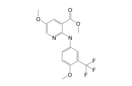 Niflumic acid-M (di-HO-) 3ME