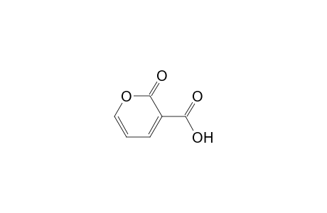 2-ketopyran-3-carboxylic acid