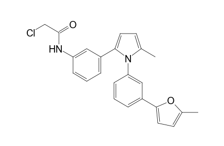 2-Chloro-N-(3-[5-methyl-1-[3-(5-methyl-furan-2-yl)-phenyl]-1H-pyrrol-2-yl]-phenyl)-acetamide