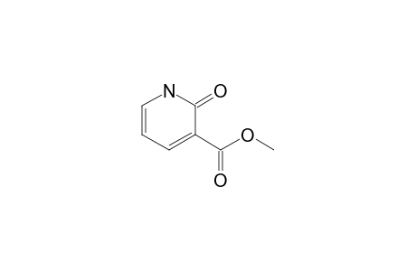 Methyl 2-oxo-1,2-dihydro-3-pyridinecarboxylate