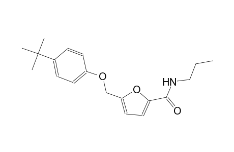 5-[(4-tert-butylphenoxy)methyl]-N-propyl-2-furamide