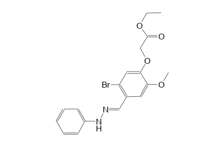 ethyl {5-bromo-2-methoxy-4-[(E)-(phenylhydrazono)methyl]phenoxy}acetate