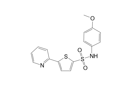 Thiophene-2-sulfonamide, N-(4-methoxyphenyl)-5-(2-pyridyl)-