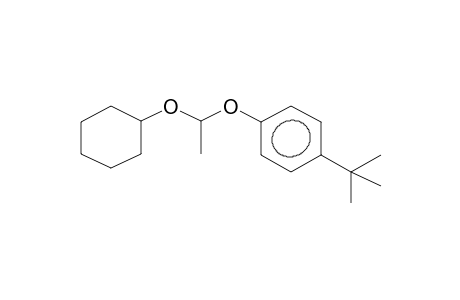 1-(4-TERT-BUTYLPHENOXY)-1-CYCLOHEXYLOXYETHANE