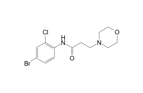 N-(4-Bromo-2-chlorophenyl)-3-(4-morpholinyl)propanamide