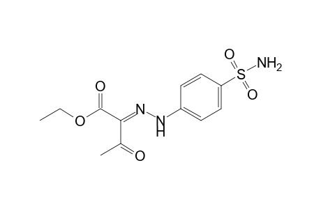 2,3-dioxobutyric acid, ethyl ester, 2-[(p-sulfamoylphenyl)hydrazone]