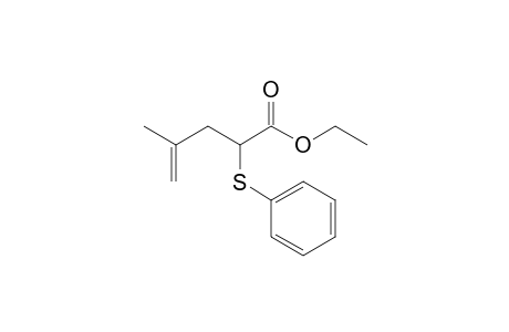 4-Methyl-2-(phenylthio)-4-pentenoic acid ethyl ester