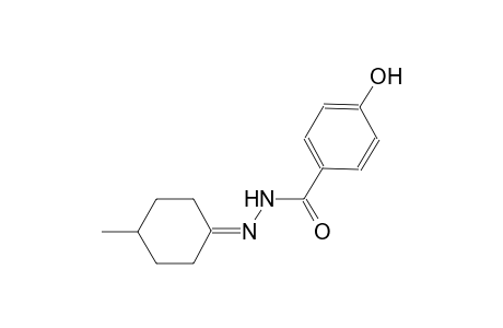 4-hydroxy-N'-(4-methylcyclohexylidene)benzohydrazide