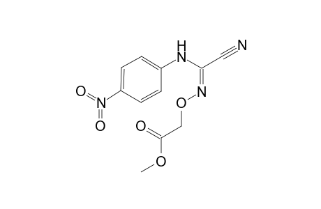 O-Methoxycarbonylmethyl-N-(4-nitrophenyl)cyanoformamidoxime