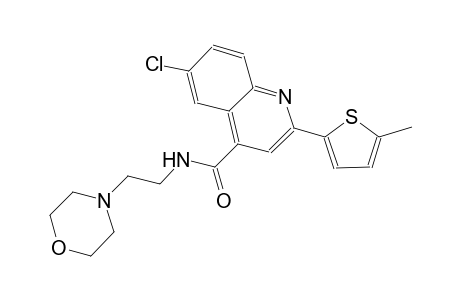 6-chloro-2-(5-methyl-2-thienyl)-N-[2-(4-morpholinyl)ethyl]-4-quinolinecarboxamide