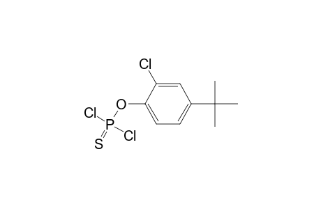 Phosphorodichloridothioic acid, O-(4-tert-butyl-2-chlorophenyl)ester