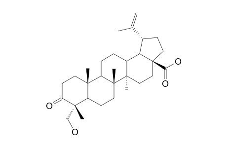 PULSATILLIC-ACID;3-OXO-23-HYDROXY-LUP-20(29)-EN-28-OIC-ACID