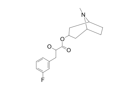 TROPANYL-(RS)-3-(3'-FLUOROPHENYL)-LACTATE;3'-F-LITTORINE