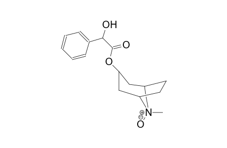 8-methyl-8-oxido-8-azabicyclo[3.2.1]oct-3-yl hydroxy(phenyl)acetate