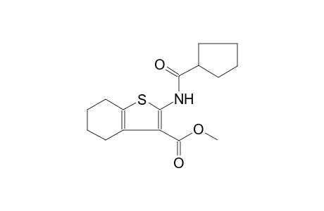benzo[b]thiophene-3-carboxylic acid, 2-[(cyclopentylcarbonyl)amino]-4,5,6,7-tetrahydro-, methyl ester