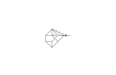 9-Methyl-9-pentacyclo(4.3.0/2,4/.0/3,8/.0/5,7/)nonyl cation