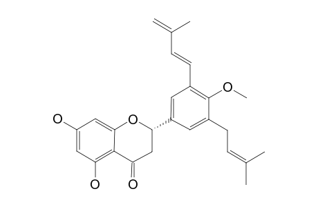 BURTTINONEDEHYDRATE;(S)-5,7-DIHYDROXY-4'-METHOXY-3'-(3-METHYLBUTADIENYL)-5'-(3-METHYLBUT-2-ENYL)-FLAVANONE