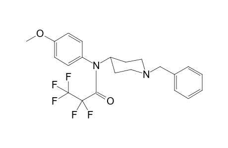 2,2,3,3,3-Pentafluoro-N-(4-methoxyphenyl)-N-(1-benzylpiperidin-4-yl)propanamide